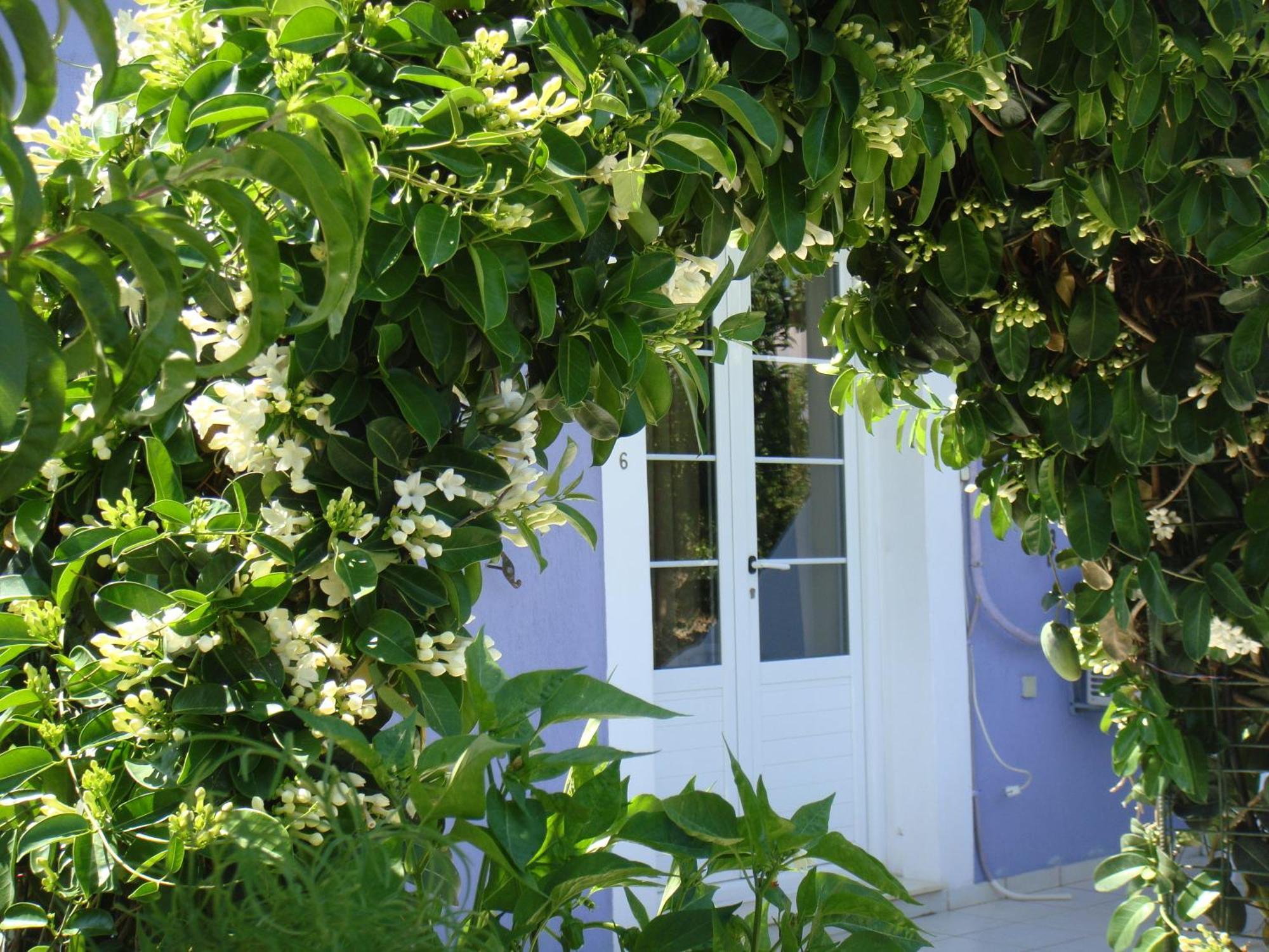 Villa Eliza Skala  エクステリア 写真